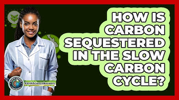 How Is Carbon Sequestered In The Slow Carbon Cycle?