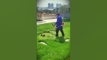 Smart technique for tidying up garden grass with a simple mower #shorts