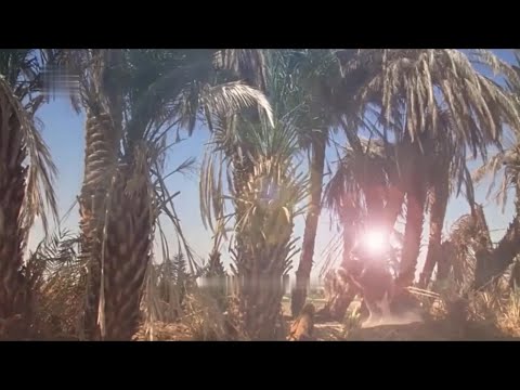 Ibrahim Ibn Malik E Ashtar Dream Of Maula Abbas A S Urdu Subtitles Mukhtar Nama