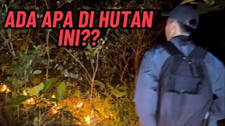ADA APA DI HUTAN INI‼️‼️