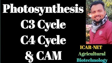 Photosynthesis in plant, C3 Cycle , C4 Cycle and CAM Cycle - All Important points