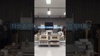 다섯 손가락. 수요일에는 빨간 장미를. 이두헌 작사 / 작곡. 이두헌 노래. LP로 듣는. PE1010 Turntable. Falconlab 301B Speaker(무지향)