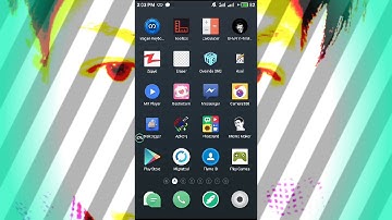 maharwanna Openvpn setting hide dots