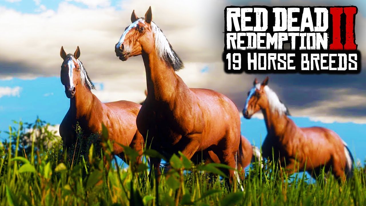 Horse Chart Rdr2 horse-chart-rdr2