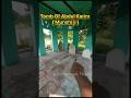 TOMB OF ABDUL KARIM MUNSHI JI QUEEN VICTORIA S Trending Shorts Viralvideo 