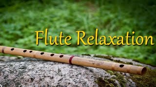 Nature Bird || Bambo Flute|| Morning relaxing Music || © Copyright Free No Copyright || Flute Sujan