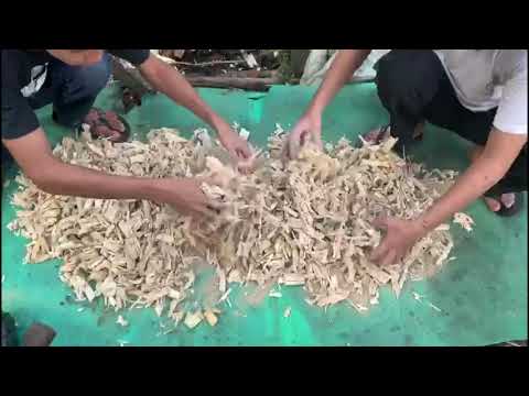 TUTORIAL FERMENTASI AMPAS Tebu MENJADI Pakan TERNAK