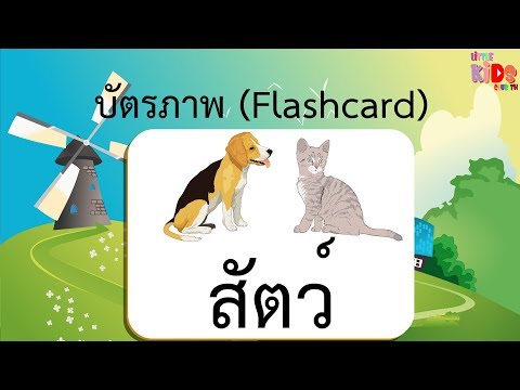Flashcard ภาษาไทย สัตว์ แฟลชการ์ด บัตรภาพ บัตรคำ บัตรคำศัพท์