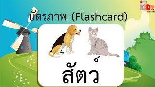 Flashcard ภาษาไทย สัตว์ แฟลชการ์ด บัตรภาพ บัตรคำ บัตรคำศัพท์ screenshot 3