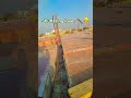 contraction work #construction #trending #viral #home