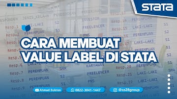 TUTORIAL STATA : VALUE LABEL STATA ➡️ CARA MEMBUAT VALUE LABEL DI STATA