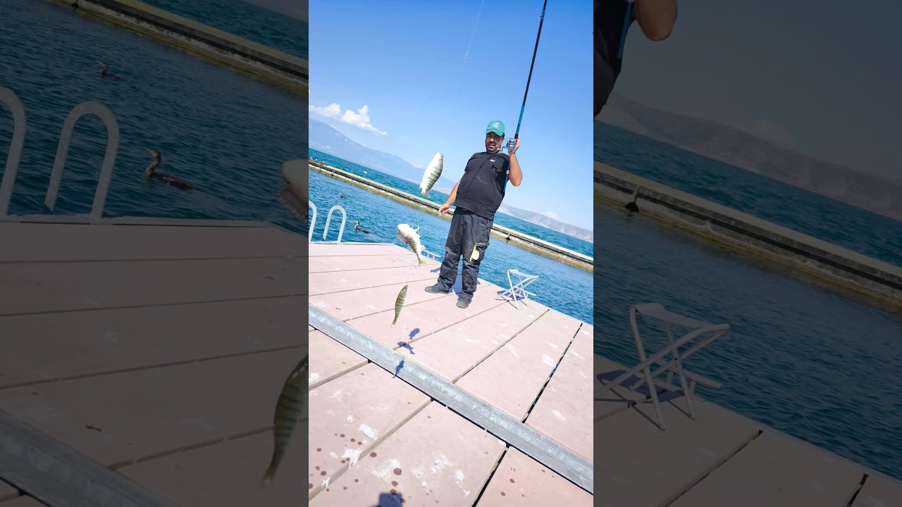 Ψάρεμα στην Λίμνη Βεγορίτιδα! 🎣 #casting #fishing #lake #viral