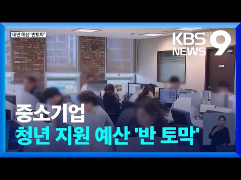 중소기업 청년 지원 예산 반토막 9시 뉴스 KBS 2022 11 09 