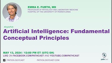 #DIGITALPATH  Artificial Intelligence: Fundamental Conceptual Principles