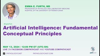 #DIGITALPATH  Artificial Intelligence: Fundamental Conceptual Principles