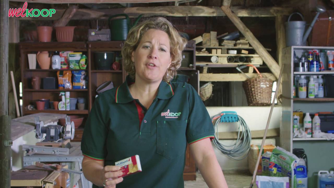 Ontwormen van je huisdier