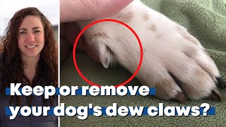 Dew or Don’t? Considerations for Removing Dew Claws