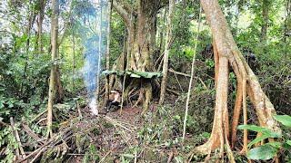 Unfortunate Girl, Creating Shelter Under a Tree | Lý Thị Mẩy Kun