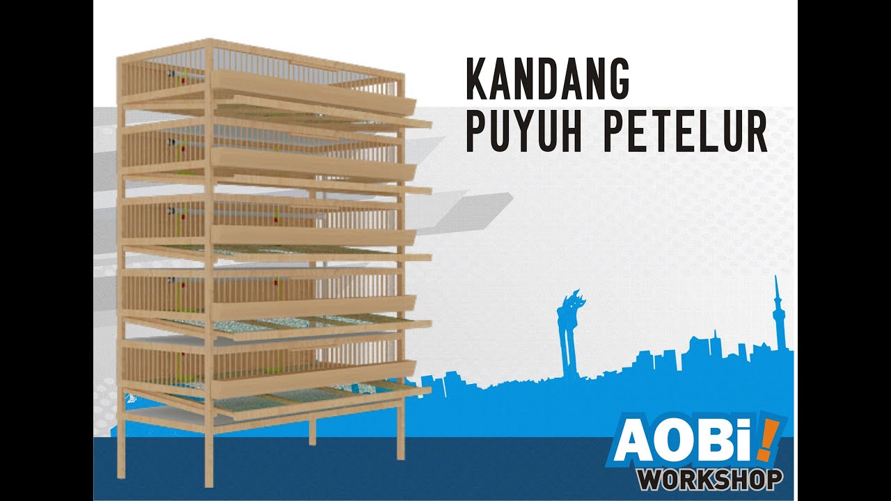 Homemade Quail Cage with egg catcher (review)- Kandang 