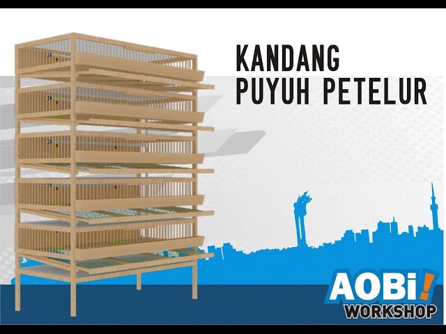 Homemade Quail Cage With Egg Catcher Review Kandang Puyuh Ideal