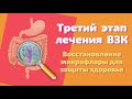 Как восстановить микрофлору при НЯК