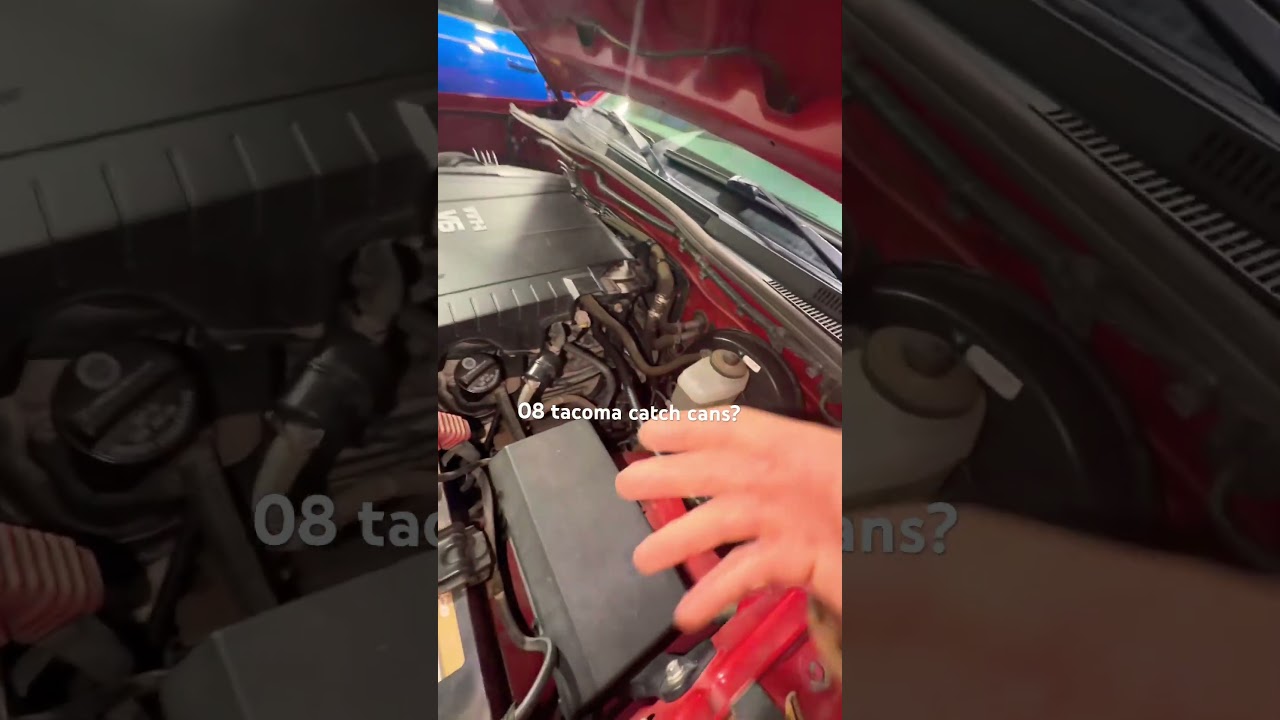 Do you guys or gals run them? 