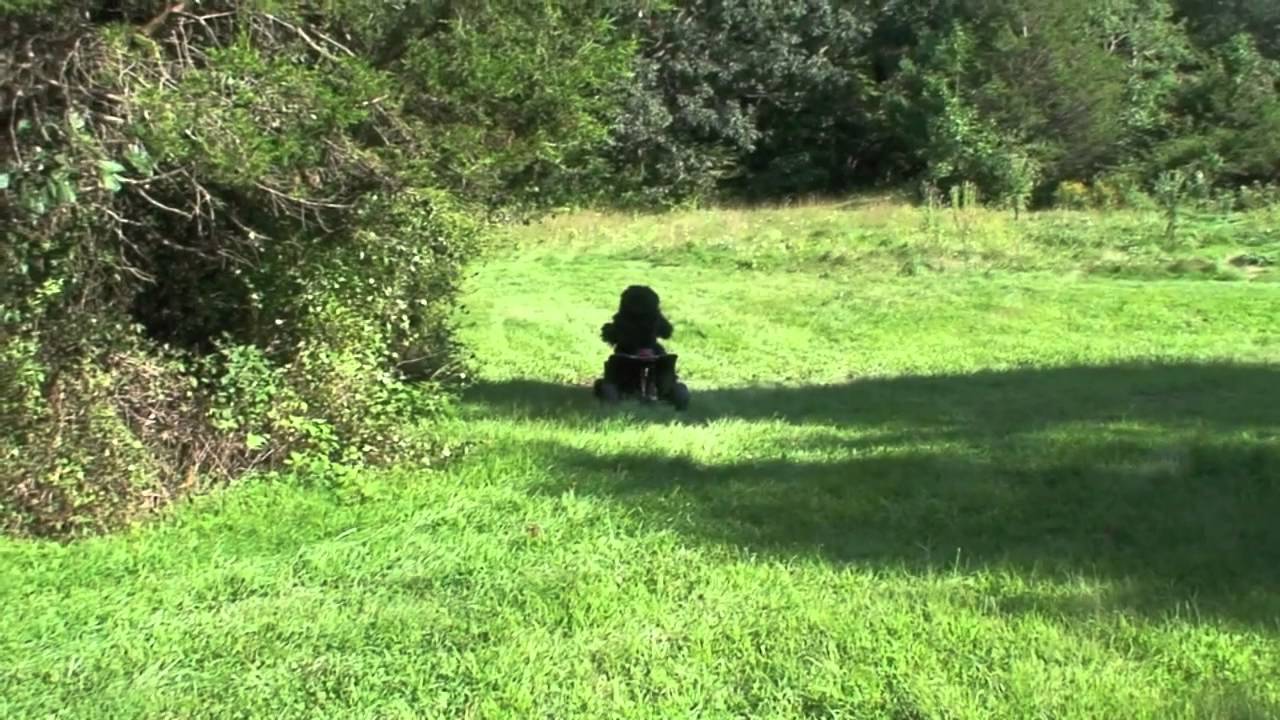 Bigfoot No Mori