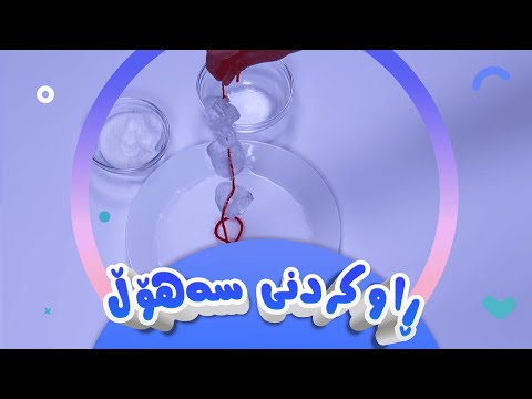 تاقیگە | ڕاوکردنی سەهۆڵ | کەناڵی ئافەرین | afarin kids