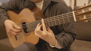 &#39;Capricorn&#39; by Vampire Weekend | Classical / fingerstyle guitar cover