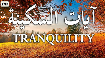 آيات السكينة لدفع القلق والهموم😌🎧 قران كريم بصوت جميل جدا جدا | AYAT OF TRANQUILITY - SAKINAH