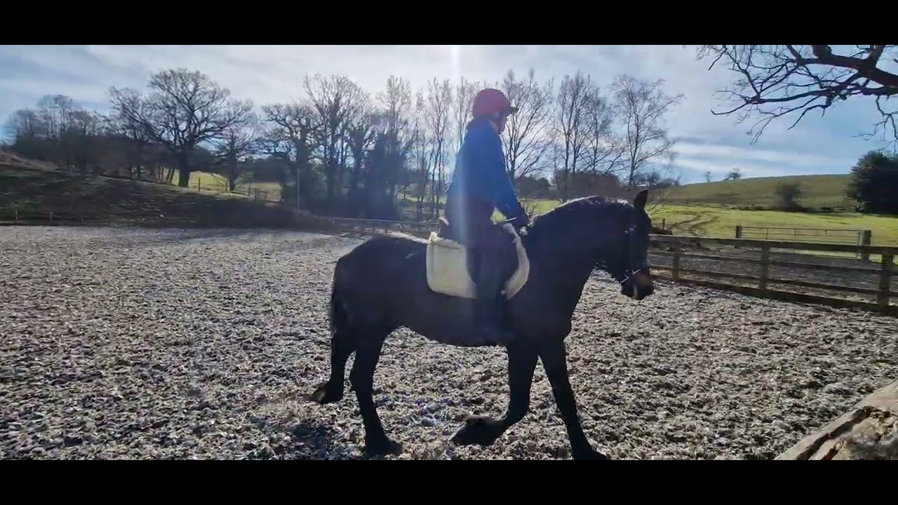 Preliminary 1 - Alice Murray and Zara