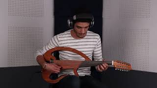 Hicaz Hijaz Maqam Taksim with Electric Oud Fishman Pickup PRESYS 301