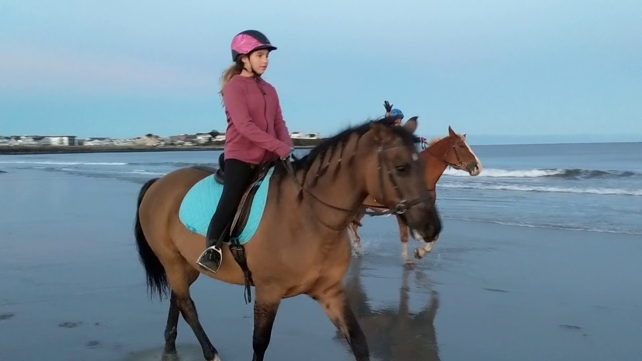 Sunset Horseback Riding on Hampton Beach YouTube