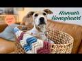 Hannah Honeyheart | Sweet puppy, toy collector, professional grandkid bestie
