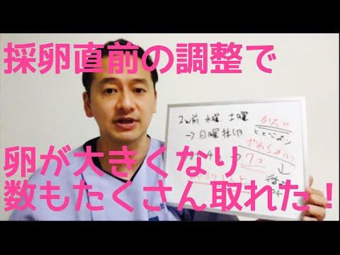 採卵直前の調整で卵が大きくなり 数もたくさん取れた！