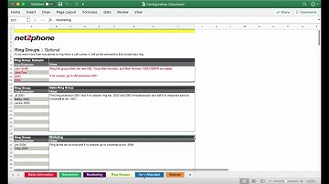 How To Fill Out the net2phone Configuration Doc