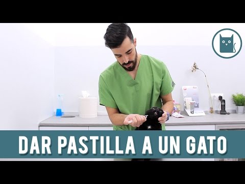 Video: Cómo Darle Una Pastilla A Un Gatito