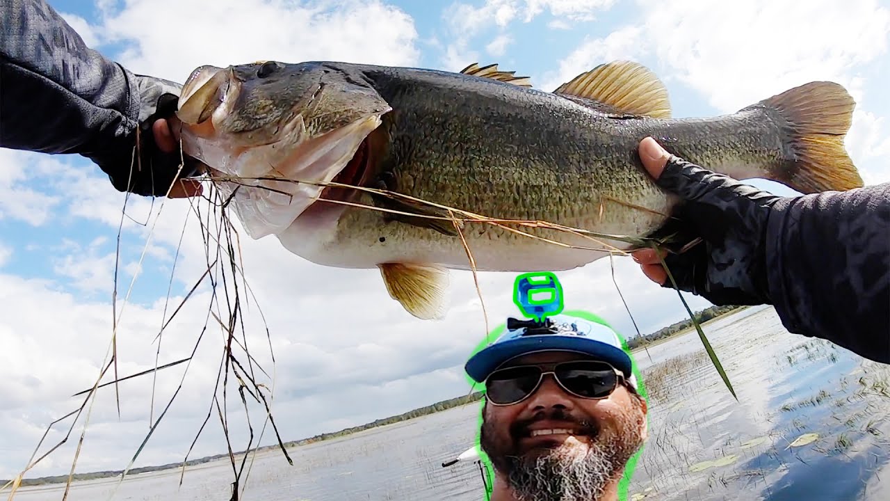 LOOK AT THE SIZE OF THAT BASS! BUZZBAIT BUZZ – Bass Fishing