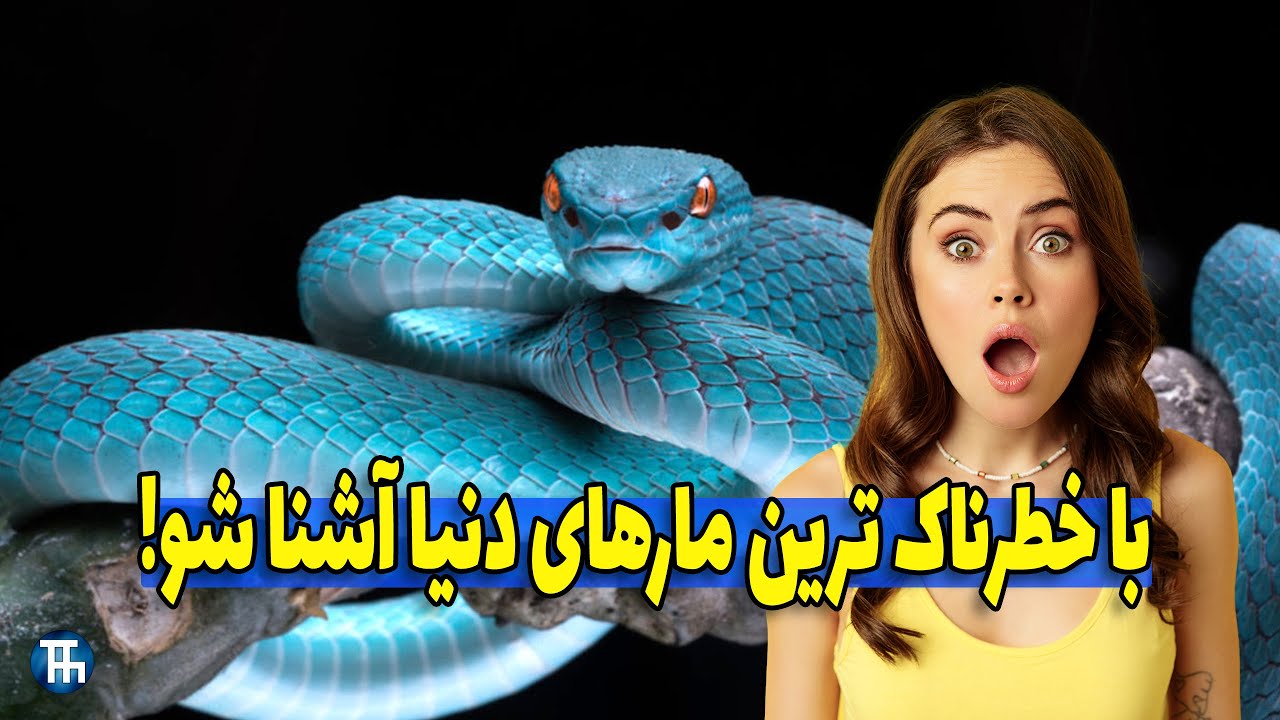 مارهای سمی و خطرناکی که میتونن به سرعت نابودگر باشند - YouTube