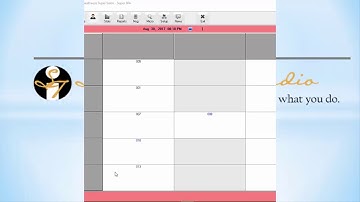 SalonTouch Evolution  - Using Reports (Business, Clients, Employees)