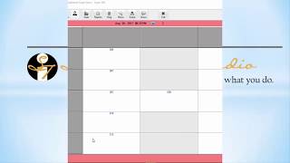 SalonTouch Evolution  - Using Reports (Business, Clients, Employees)