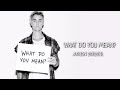 What Do You Mean? - Justin Bieber (مترجم عربي)