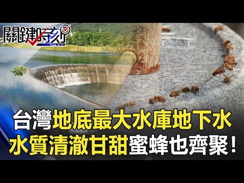 【台缺水危機】救命水就在這！台灣地底最大水庫「地下水」 水質清澈甘甜蜜蜂也齊聚！【關鍵時刻】20210420-3 劉寶傑 黃世聰