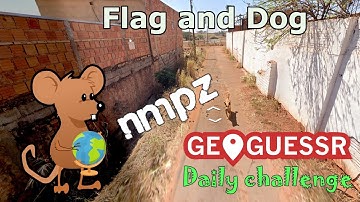 Geoguessr Daily Challenge - NMPZ - The Google Car Is Chased By A Brazilian Dog