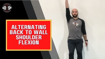Alternating Back to Wall Shoulder Flexion