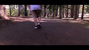 Luma Fusion, Zhiyun smooth 4 and Filmic Pro