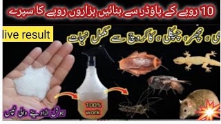 Get rid of rats, Mosquito, cockroach, lizard with homemade spray|powerful insects killer remedy