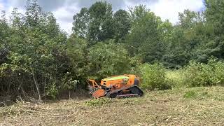 Remote Controlled forestry mulcher! Grinds up 6 in diameter trees…