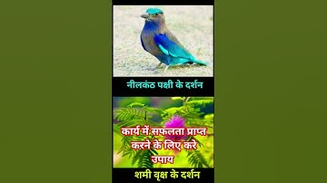 सोमवती अमावस्या पर उपाय हर कार्य में मिलेगी सफलता 🙏#शिवपुराण #पंडितप्रदीपमिश्राजी #shorts #viral