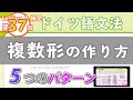 ドイツ語文法02-2【補足：名詞の複数形の作り方】初級ドイツ語入門（初心者のためのドイツ語基礎動画）【聞き流し勉強にも】